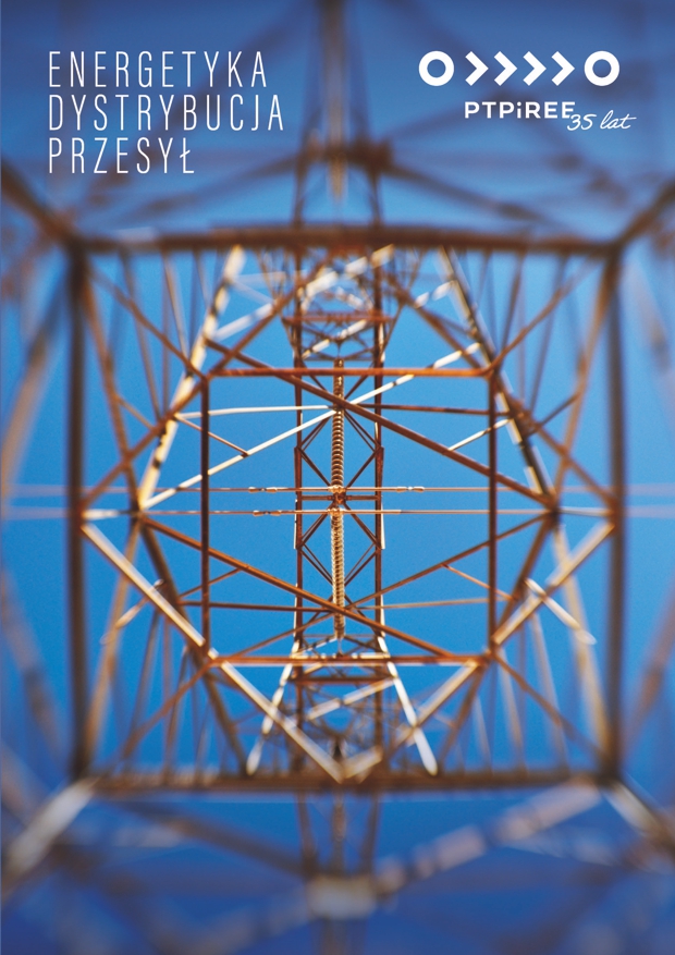 raport_ptpiree_2025
