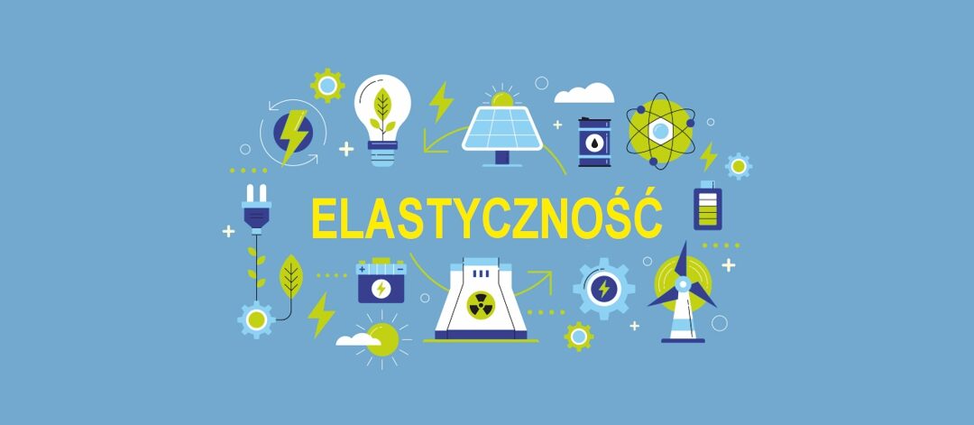 Konferencja Usługi elastyczności – nowa rola OSD na rynku energii